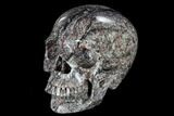 Polished Skull Crinoidal Limestone #116409-2